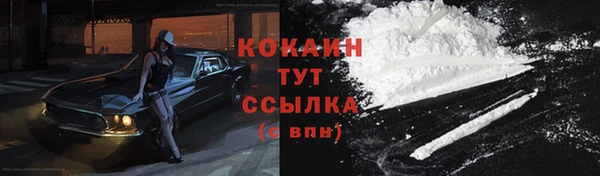 ешки Алзамай