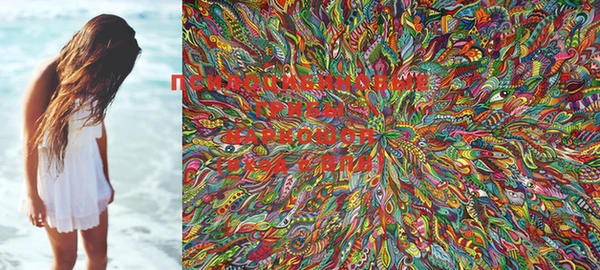 PSILOCYBIN Алексеевка