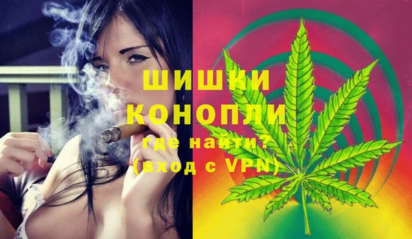 ешки Алзамай
