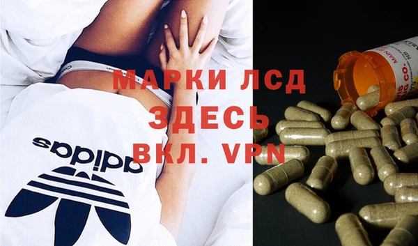 PSILOCYBIN Алексеевка