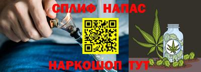 эйфоретик Аргун