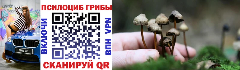 гидра ТОР  Ачинск  Галлюциногенные грибы ЛСД  закладки 