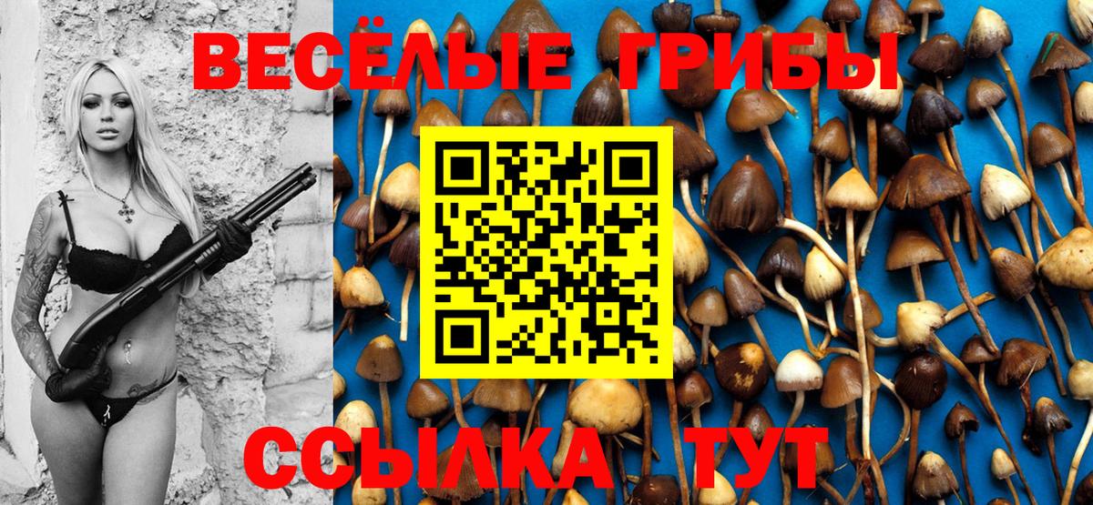 Галлюциногенные грибы GOLDEN TEACHER Ачинск
