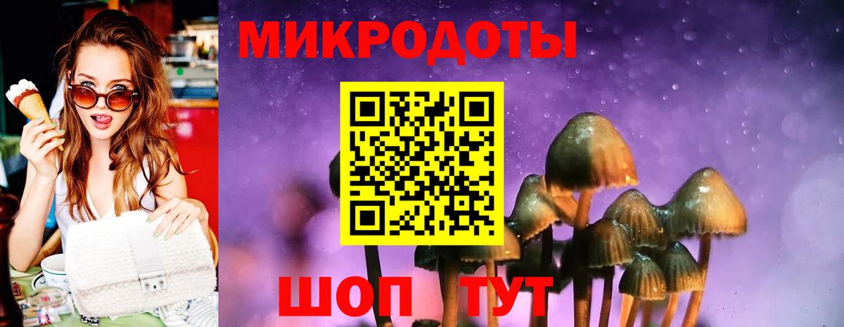 Псилоцибиновые грибы Cubensis  Вход с VPN  Ачинск 